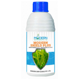 Modern Shield Plus