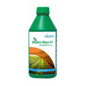 Modern Maya-41