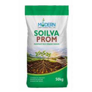 SOILVA PROM